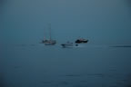 Bateaux: FEUX en route (4)